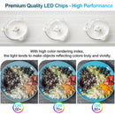 LED Deckenlampe dimmbar 12W-48W Wohnzimmer Küche Deckenleuchte